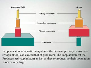 Abandoned Field Ocean
Tertiary consumers
Secondary consumers
Primary consumers
Producers
In open waters of aquatic ecosystems, the biomass primary consumers
(zooplankton) can exceed that of producers. The zooplankton eat the
Producers (phytoplankton) as fast as they reproduce, so their population
is never very large.
 