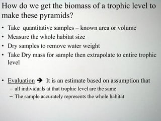 How do we get the biomass of a trophic level to
make these pyramids?
• Take quantitative samples – known area or volume
• Measure the whole habitat size
• Dry samples to remove water weight
• Take Dry mass for sample then extrapolate to entire trophic
level
• Evaluation  It is an estimate based on assumption that
– all individuals at that trophic level are the same
– The sample accurately represents the whole habitat
 