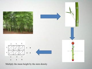 Multiply the mean height by the stem density
 