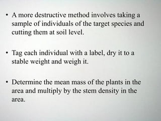 • A more destructive method involves taking a
sample of individuals of the target species and
cutting them at soil level.
• Tag each individual with a label, dry it to a
stable weight and weigh it.
• Determine the mean mass of the plants in the
area and multiply by the stem density in the
area.
 
