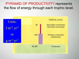 PYRAMID OF PRODUCTIVITY represents
the flow of energy through each trophic level.
Units:
J m-2 yr-1
or
g m-2 yr-1
 