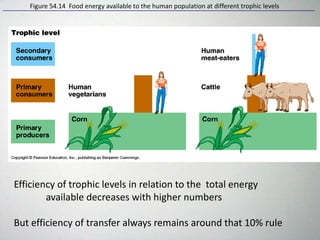 Figure 54.14 Food energy available to the human population at different trophic levels
Efficiency of trophic levels in relation to the total energy
available decreases with higher numbers
But efficiency of transfer always remains around that 10% rule
 