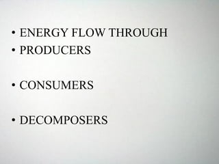 • ENERGY FLOW THROUGH
• PRODUCERS
• CONSUMERS
• DECOMPOSERS
 