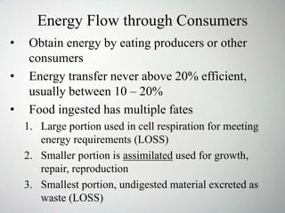 Energy Flow through Consumers
• Obtain energy by eating producers or other
consumers
• Energy transfer never above 20% efficient,
usually between 10 – 20%
• Food ingested has multiple fates
1. Large portion used in cell respiration for meeting
energy requirements (LOSS)
2. Smaller portion is assimilated used for growth,
repair, reproduction
3. Smallest portion, undigested material excreted as
waste (LOSS)
 