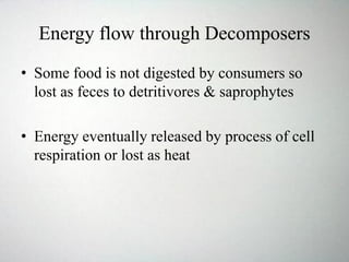 Energy flow through Decomposers
• Some food is not digested by consumers so
lost as feces to detritivores & saprophytes
• Energy eventually released by process of cell
respiration or lost as heat
 