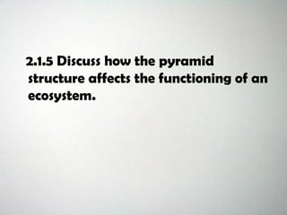 2.1.5 Discuss how the pyramid
structure affects the functioning of an
ecosystem.
 