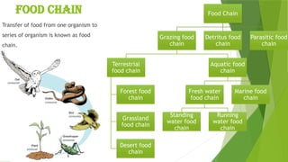 Ecosystem and it's characters [Recovered] 12.pptx