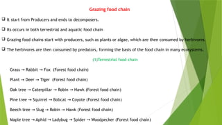 Ecosystem and it's characters [Recovered] 12.pptx