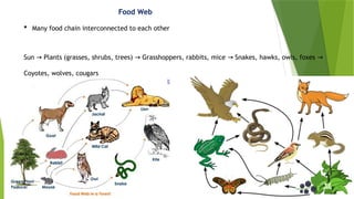 Ecosystem and it's characters [Recovered] 12.pptx