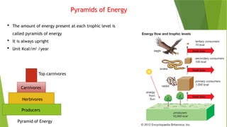 Ecosystem and it's characters [Recovered] 12.pptx
