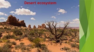 Ecosystem and it's characters [Recovered] 12.pptx