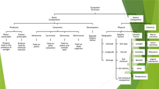 Ecosystem and it's characters [Recovered] 12.pptx