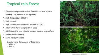 Ecosystem and it's characters [Recovered] 12.pptx