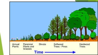 Ecosystem and it's characters [Recovered] 12.pptx