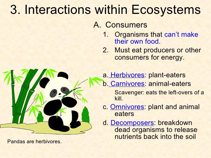 what might be an example of a neutral relationship in this ecosystem
