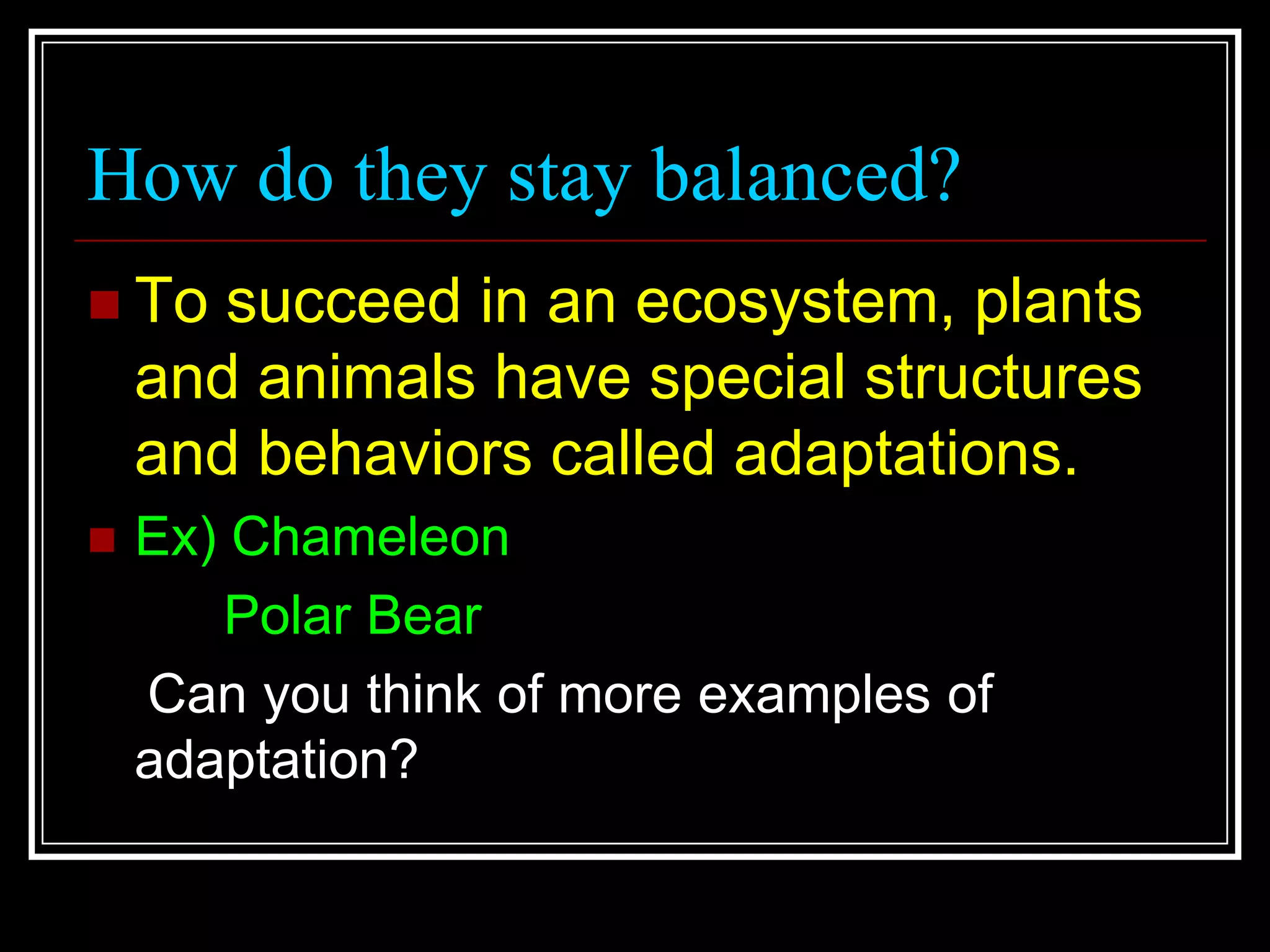 How do they stay balanced?To succeed in an ecosystem, plants and animals have special structures and behaviors called adaptations.Ex) Chameleon         Polar Bear    Can you think of more examples of adaptation?
