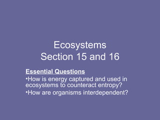 Ecosystems Section 15 and 16 ,[object Object],[object Object],[object Object]
