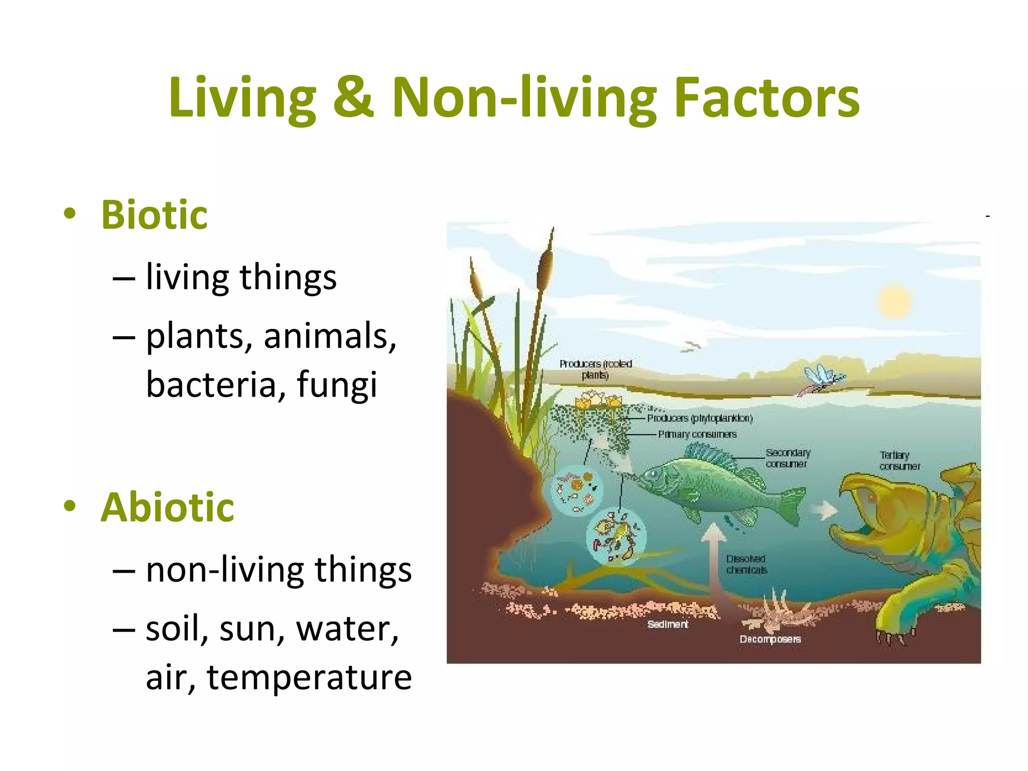 Living & Non-living Factors Biotic   living things plants, animals, bacteria, fungi Abiotic   non-living things soil, sun, water, air, temperature 