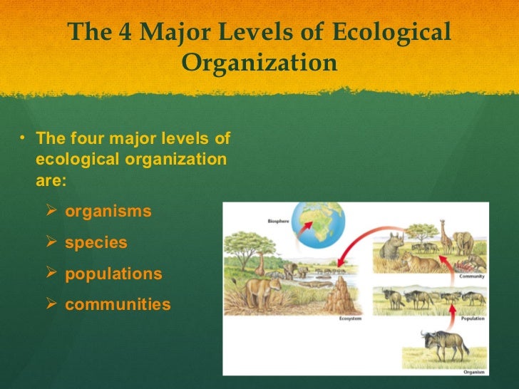 What are the five levels of ecological organization? paperwingrvice
