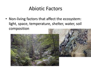 Abiotic Factors
• Non-living factors that affect the ecosystem:
  light, space, temperature, shelter, water, soil
  composition
 