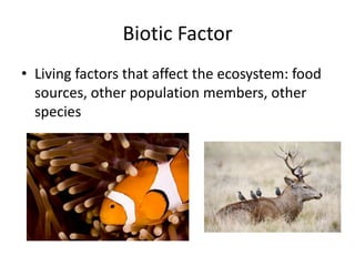 Biotic Factor
• Living factors that affect the ecosystem: food
  sources, other population members, other
  species
 