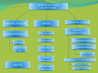 Concept Map About Ecosystem Ecosystems Concept Map By Grp 6