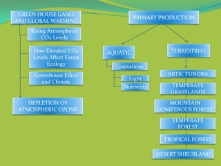 Ecosystems Concept Map By Grp 6