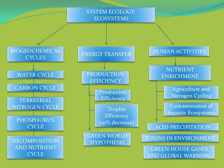 Ecosystems Concept Map By Grp 6