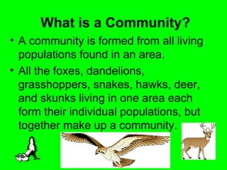 What is a Community?
• A community is formed from all living
  populations found in an area.
• All the foxes, dandelions,
  grasshoppers, snakes, hawks, deer,
  and skunks living in one area each
  form their individual populations, but
  together make up a community.
 