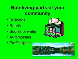 Non-living parts of your
          community
•   Buildings
•   Roads
•   Bodies of water
•   Automobiles
•   Traffic lights
 