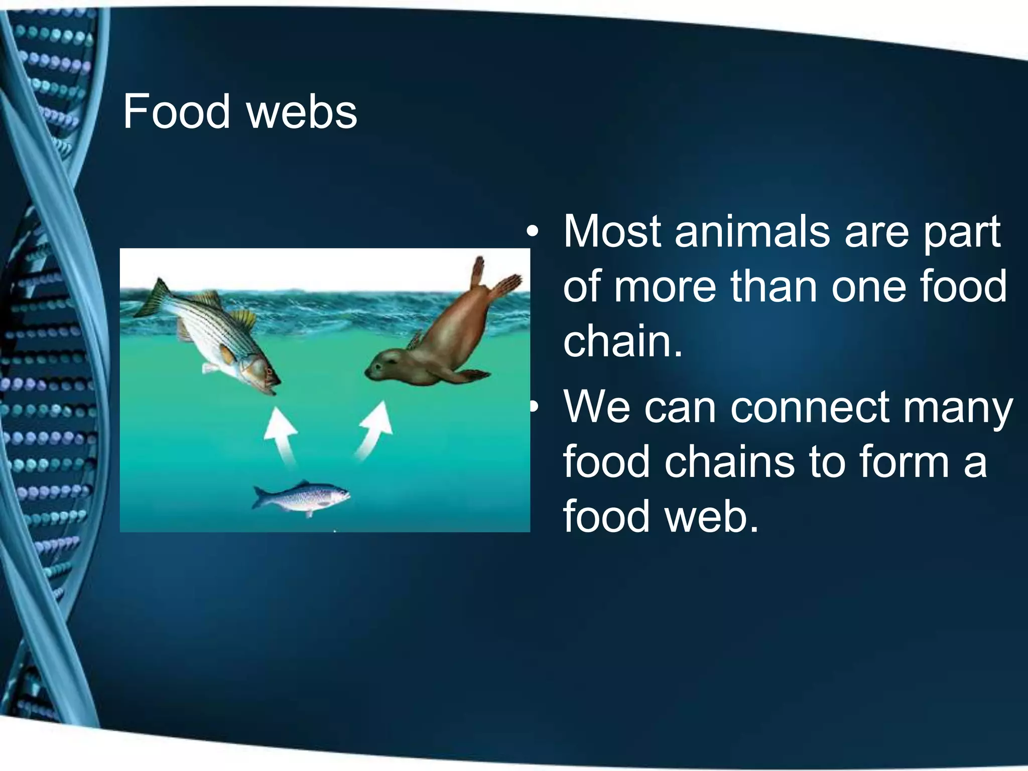 Food webs
• Most animals are part
of more than one food
chain.
• We can connect many
food chains to form a
food web.
 