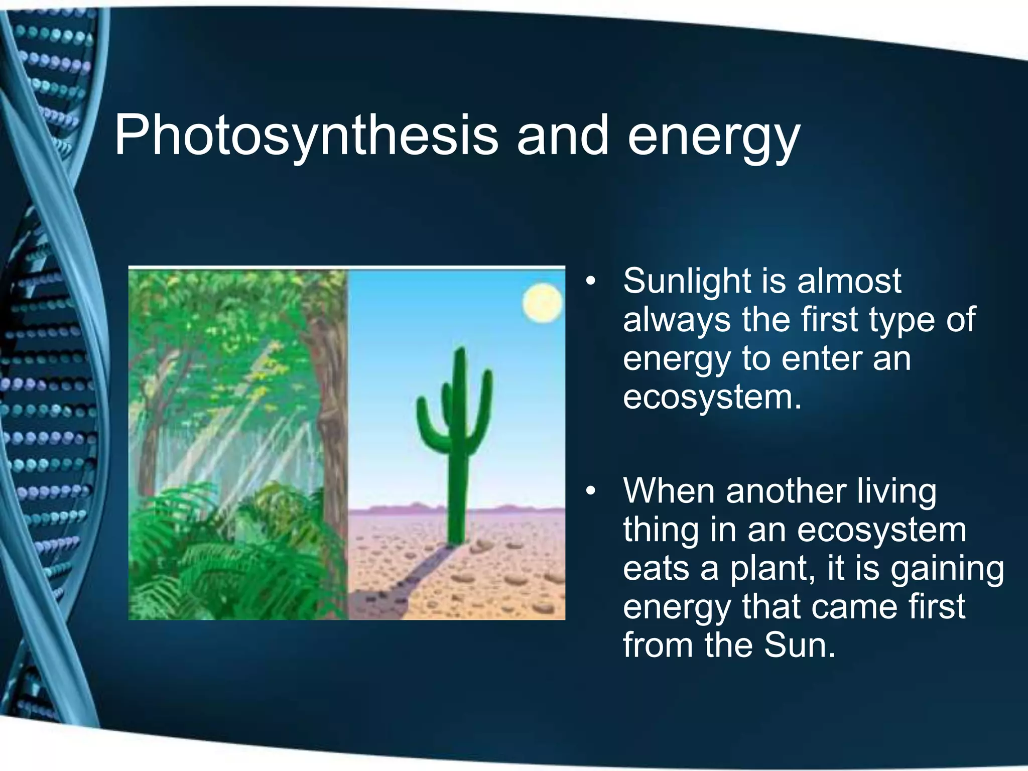 Photosynthesis and energy
• Sunlight is almost
always the first type of
energy to enter an
ecosystem.
• When another living
thing in an ecosystem
eats a plant, it is gaining
energy that came first
from the Sun.
 