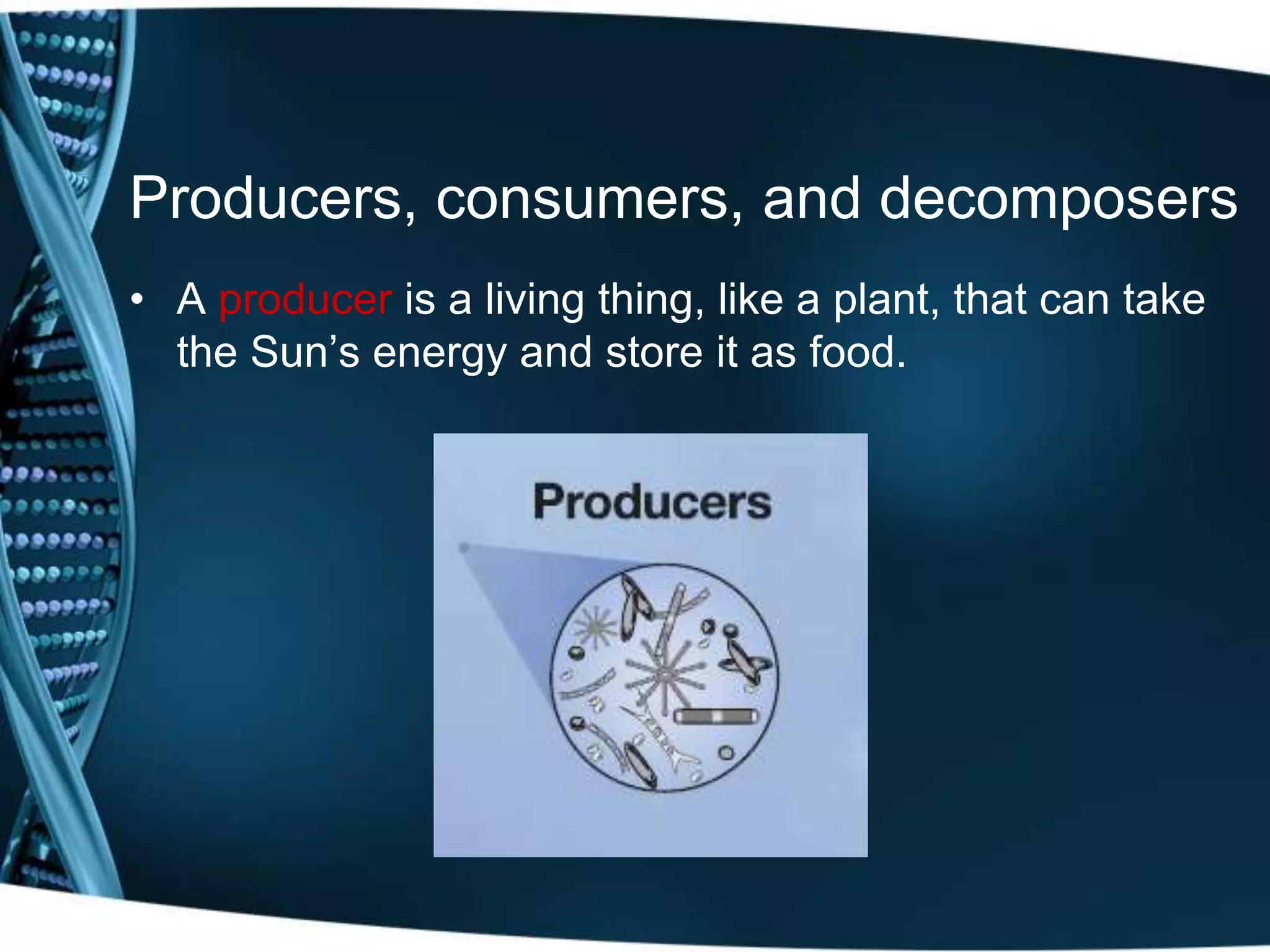 Producers, consumers, and decomposers
• A producer is a living thing, like a plant, that can take
the Sun’s energy and store it as food.
 