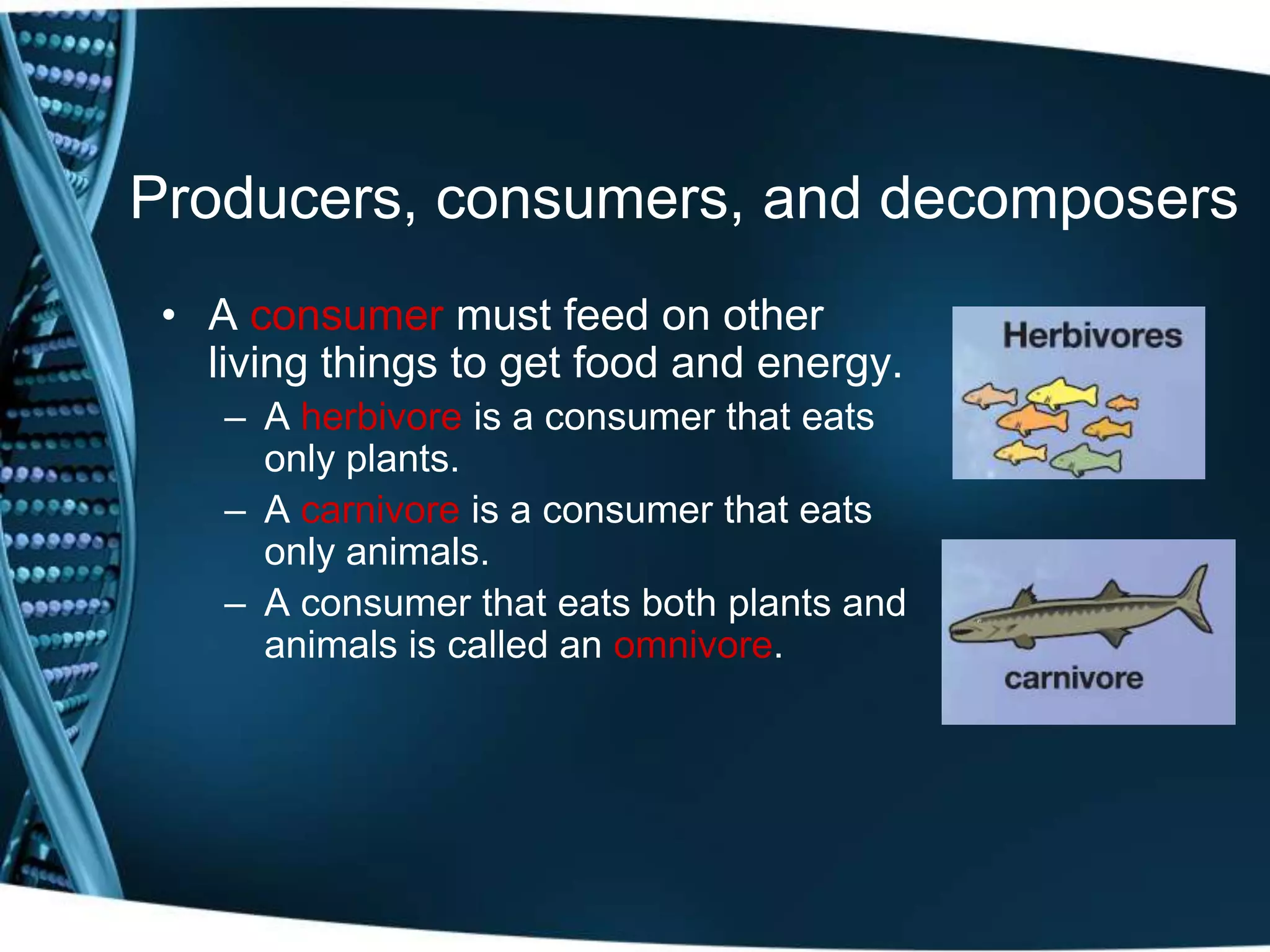 Producers, consumers, and decomposers
• A consumer must feed on other
living things to get food and energy.
– A herbivore is a consumer that eats
only plants.
– A carnivore is a consumer that eats
only animals.
– A consumer that eats both plants and
animals is called an omnivore.
 