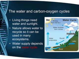 The water and carbon-oxygen cycles
• Living things need
water and sunlight.
• Nature allows water to
recycle so it can be
used in many
ecosystems.
• Water supply depends
on the water cycle.
 