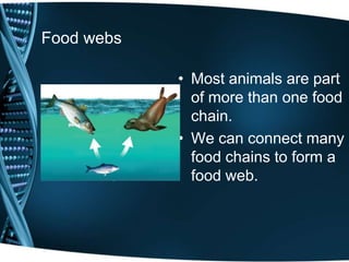 Food webs
• Most animals are part
of more than one food
chain.
• We can connect many
food chains to form a
food web.
 