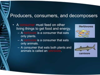 Producers, consumers, and decomposers
• A consumer must feed on other
living things to get food and energy.
– A herbivore is a consumer that eats
only plants.
– A carnivore is a consumer that eats
only animals.
– A consumer that eats both plants and
animals is called an omnivore.
 