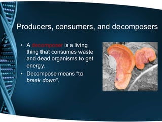 Producers, consumers, and decomposers
• A decomposer is a living
thing that consumes waste
and dead organisms to get
energy.
• Decompose means “to
break down”.
 