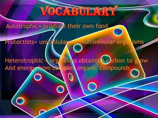 Autotrophic= produce their own food
Protoctists= unicellular or multicellular organisms
Heterotrophic = organisms obtaining carbon to grow
And energy from complex organic compounds

 