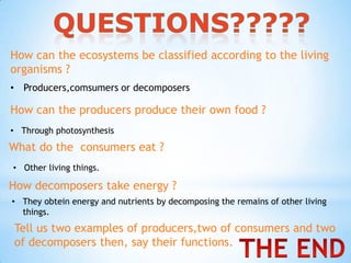 How can the ecosystems be classified according to the living
organisms ?
• .
Producers,comsumers or decomposers

How can the producers produce their own food ?
• Through photosynthesis

What do the consumers eat ?
• Other living things.

How decomposers take energy ?
• They obtein energy and nutrients by decomposing the remains of other living
things.

Tell us two examples of producers,two of consumers and two
of decomposers then, say their functions.

 