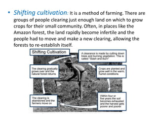 • Shifting cultivation: It is a method of farming. There are
groups of people clearing just enough land on which to grow
crops for their small community. Often, in places like the
Amazon forest, the land rapidly become infertile and the
people had to move and make a new clearing, allowing the
forests to re-establish itself.

 