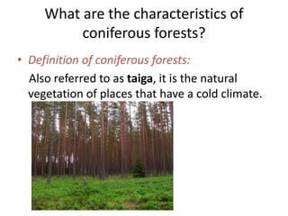 What are the characteristics of
coniferous forests?
• Definition of coniferous forests:
Also referred to as taiga, it is the natural
vegetation of places that have a cold climate.

 