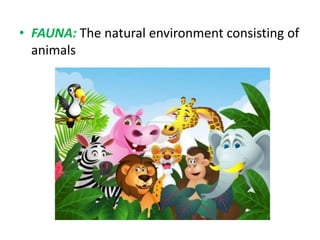 • FAUNA: The natural environment consisting of
animals

 