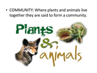 • COMMUNITY: Where plants and animals live
together they are said to form a community.

 