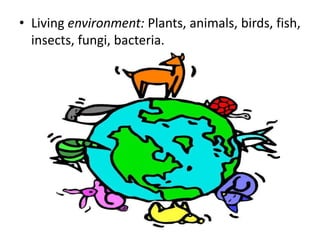 • Living environment: Plants, animals, birds, fish,
insects, fungi, bacteria.

 