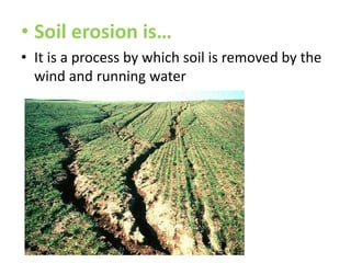 • Soil erosion is…
• It is a process by which soil is removed by the
wind and running water

 