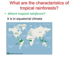 What are the characteristics of
tropical rainforests?
• Where tropical rainforest?
It is in equatorial climate

 