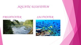 AQUATIC ECOSYSTEM
FRESHWATER

SALTWATER

 