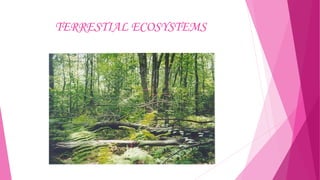 TERRESTIAL ECOSYSTEMS

 