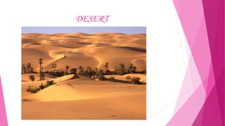 DESERT

 